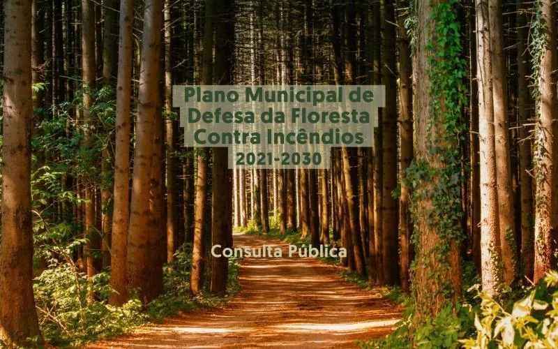 Plano Municipal de Defesa da Floresta Contra Incêndios de Almeida