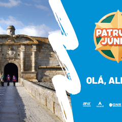 Patrulha JÚnior Almeida Feed 14 De Dezembro