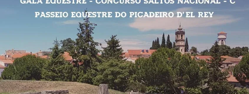 Concurso Saltos Teste Prancheta 1 Cópia 2 Prancheta 1 Cópia 2 Prancheta 1 Cópia 2