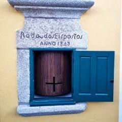 301645529 405715948366175 14836385359687443 N