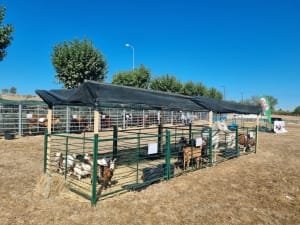 Whatsapp Image 2022 09 01 At 17.55.20