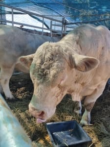 Whatsapp Image 2022 09 01 At 17.55.21 (2)