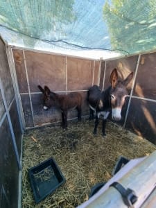 Whatsapp Image 2022 09 01 At 17.55.22