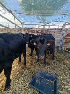 Whatsapp Image 2022 09 01 At 17.55.24 (2)