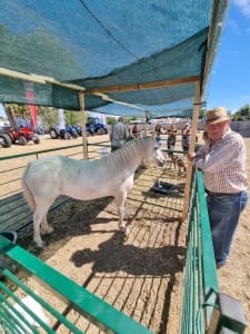 Whatsapp Image 2022 09 01 At 17.55.25 (1)