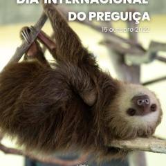 Dia Internacional Do Preguiça (animal)