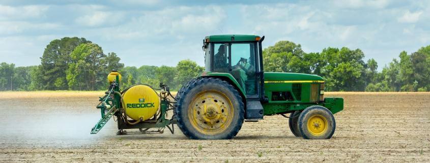 Pexels Mark Stebnicki 2889440