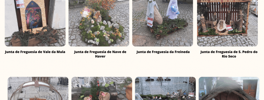 Juntas De Freguesia 2