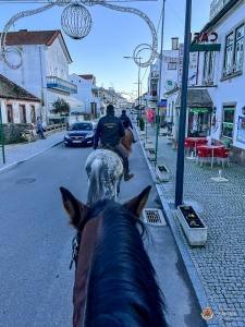 Whatsapp Image 2023 01 06 At 19.32.33