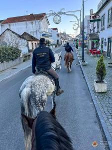 Whatsapp Image 2023 01 06 At 19.32.34 (1)