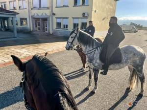 Whatsapp Image 2023 01 06 At 19.32.35