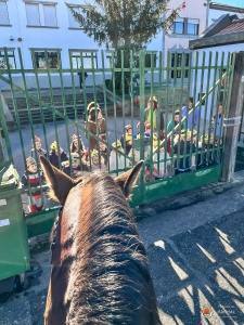 Whatsapp Image 2023 01 06 At 19.32.36 (1)