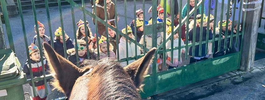 Whatsapp Image 2023 01 06 At 19.32.36 (1)