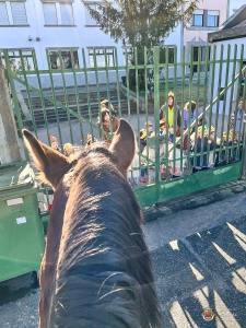 Whatsapp Image 2023 01 06 At 19.32.37