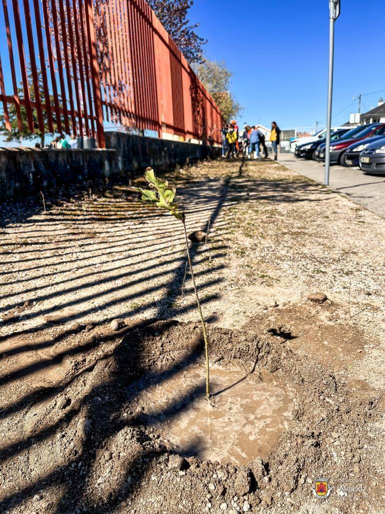 20230321 112143389 Ios