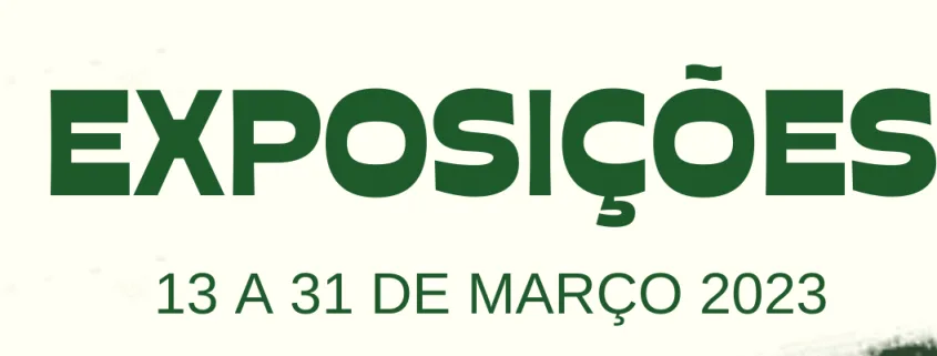Exposições 13 A 31 Março Cópia