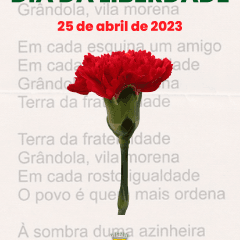 Dia Da Liverdade (1) Cravo