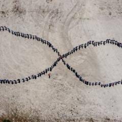 Dcim100mediadji 0850.jpg