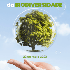 Dia Internacional Da Biodiversidade