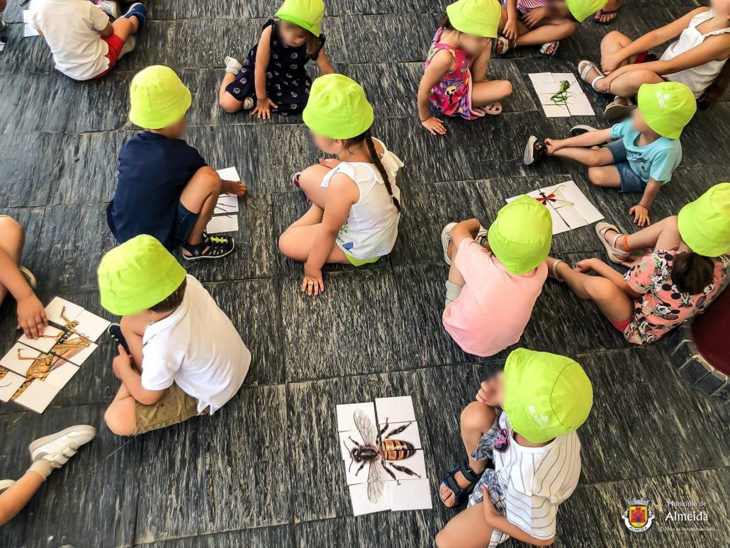 363441421 627088386228929 3003439958721156347 N