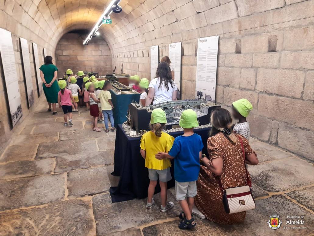 364035234 627088246228943 8982024313069386351 N