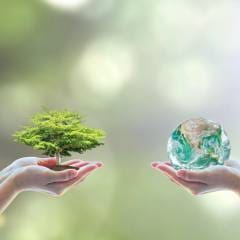 Sh Sustentabilidade Ambiental 425106391