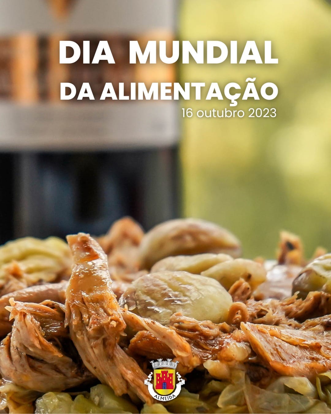 Whatsapp Image 2023 10 13 At 17.40.14