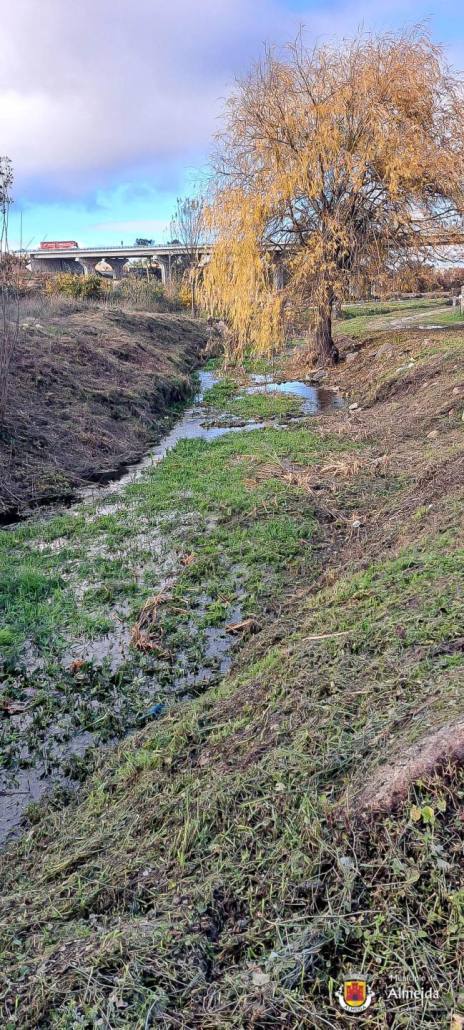 Whatsapp Image 2023 11 17 At 18.28.35 5