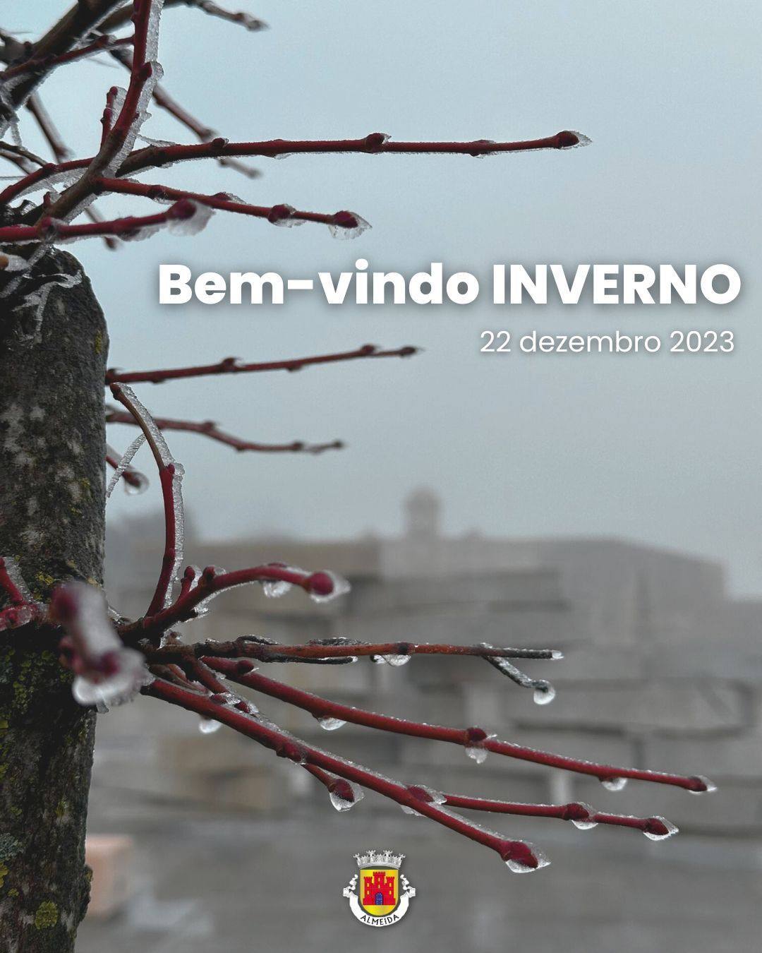 Cópia De 1º Dia De Inverno