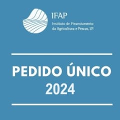 Whatsapp Image 2024 02 20 At 15.40.51