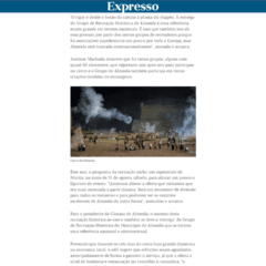 Expresso