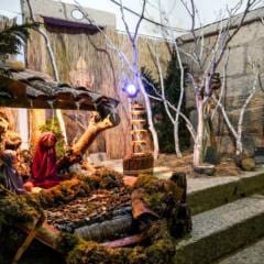 Presépio de Rua - Natal 2024