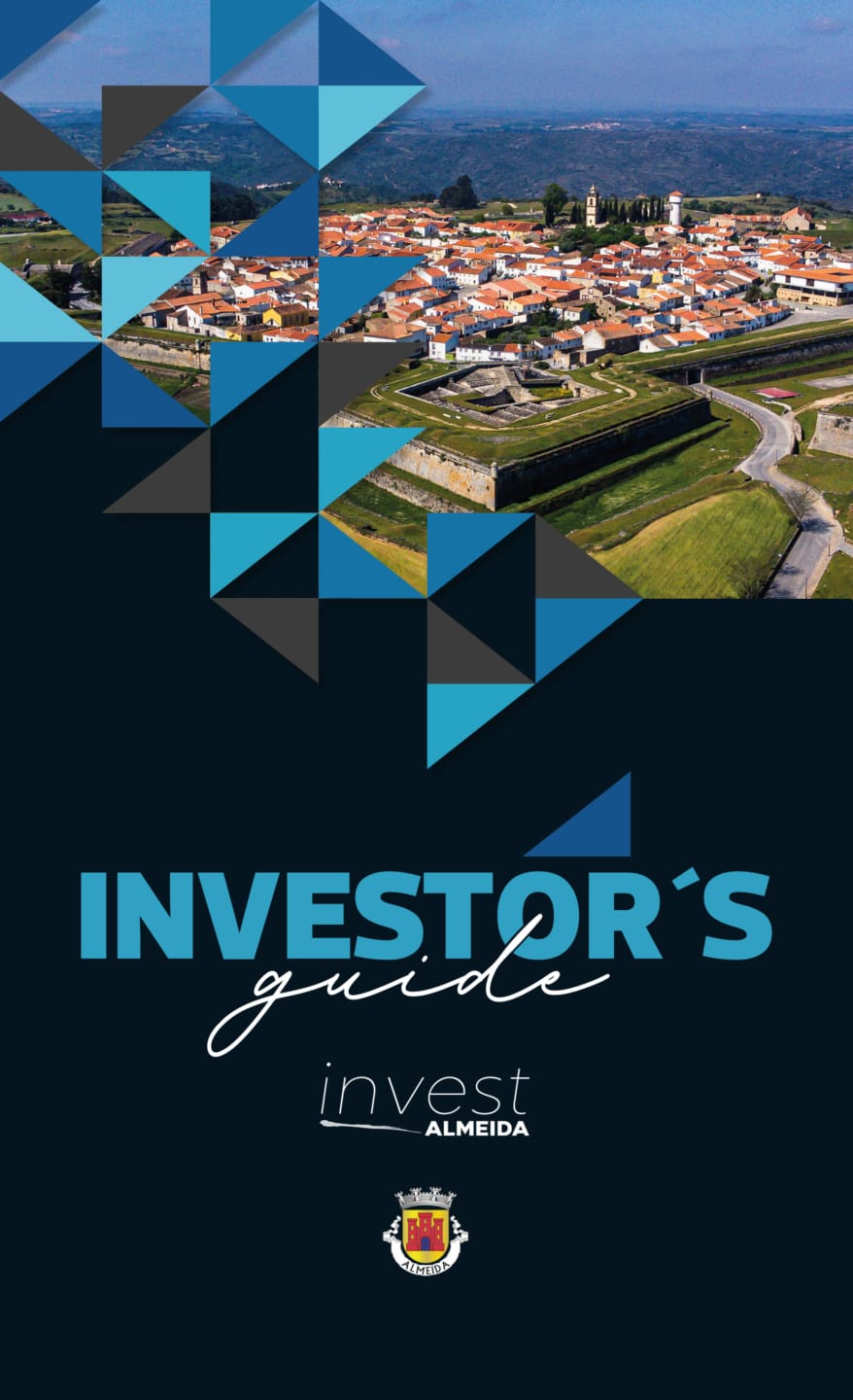 Guia Do Investidor Ing 1