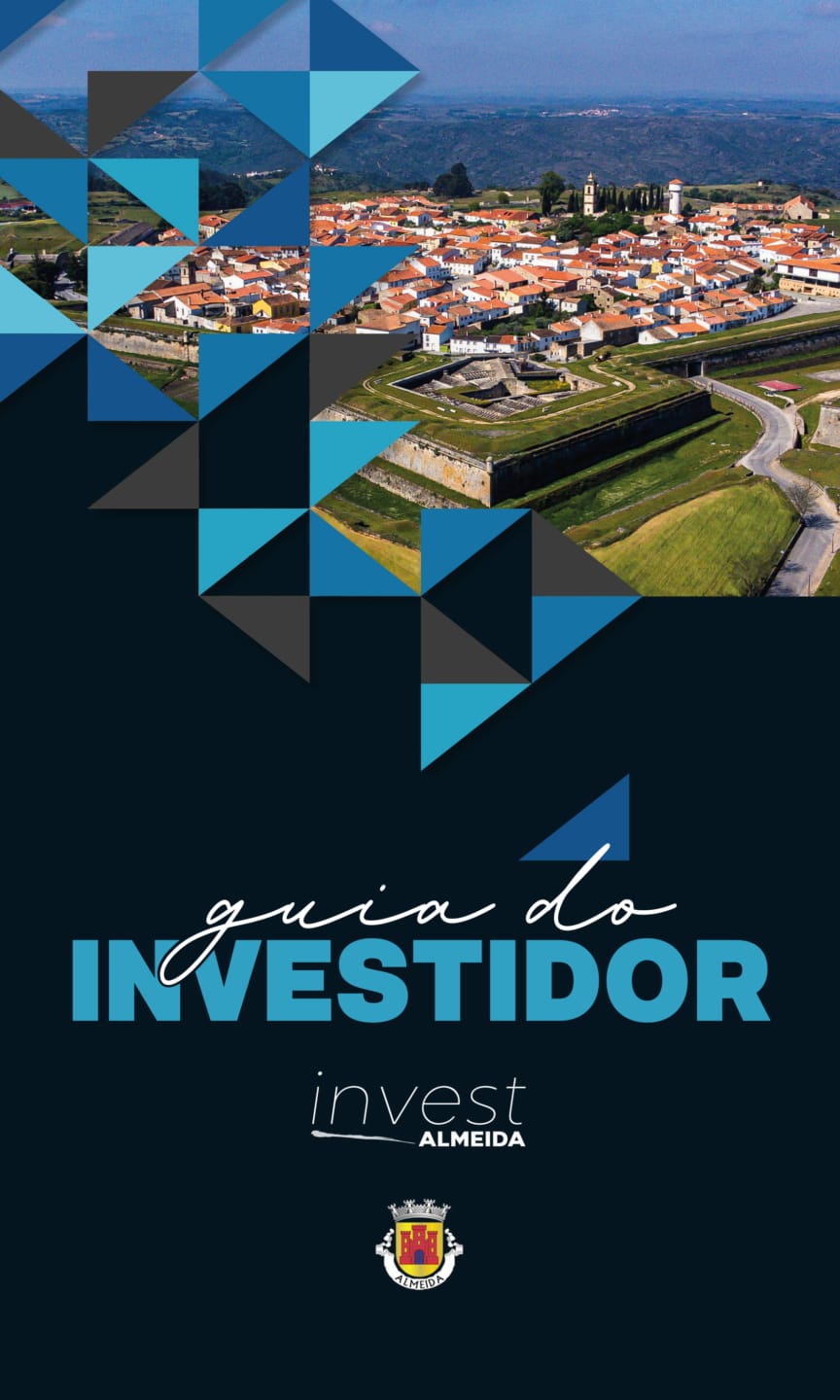 Guia Do Investidor Pt