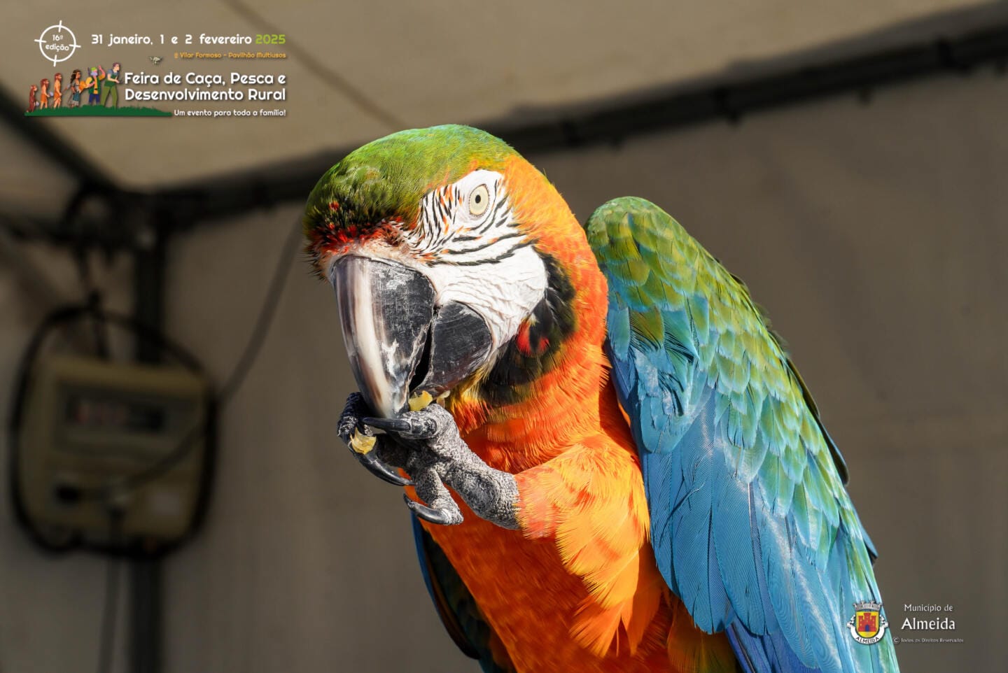 16ª Feira de Caça, Pesca e Desenvolvimento Rural