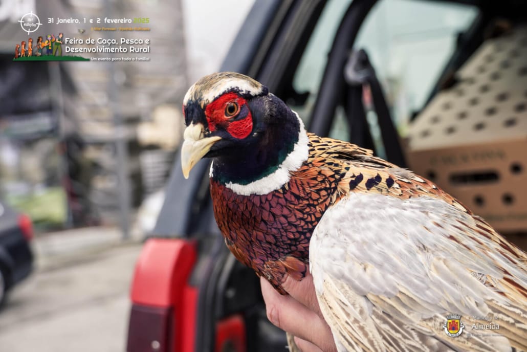 16ª Feira de Caça, Pesca e Desenvolvimento Rural