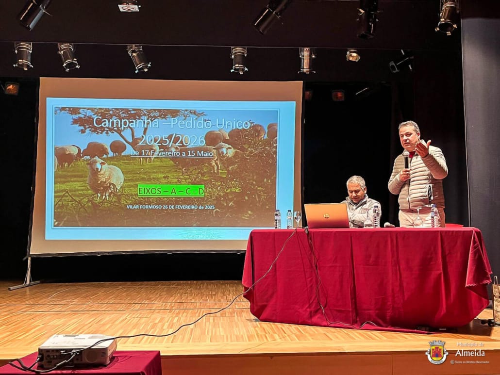 Sessão de Esclarecimento Pedido Único 2025