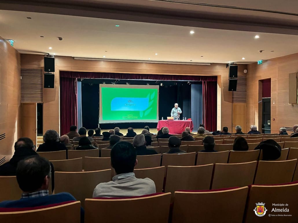 Sessão de Esclarecimento Pedido Único 2025