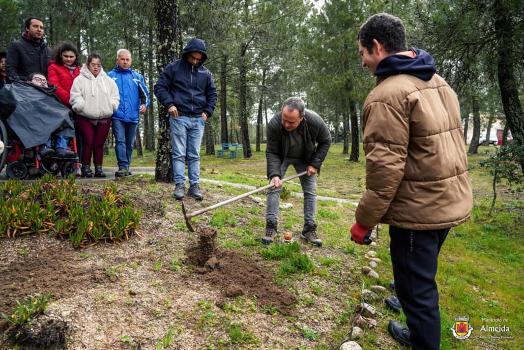 DIA MUNDIAL DA ÁRVORE
