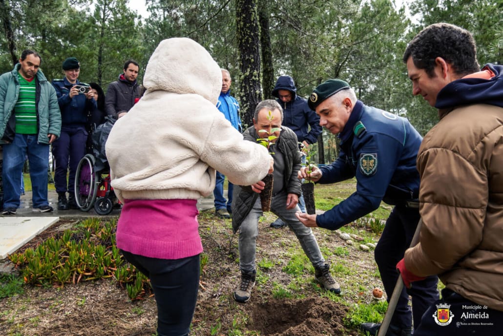 DIA MUNDIAL DA ÁRVORE