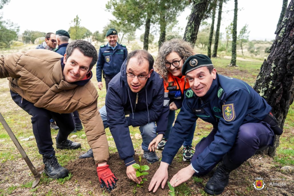 DIA MUNDIAL DA ÁRVORE
