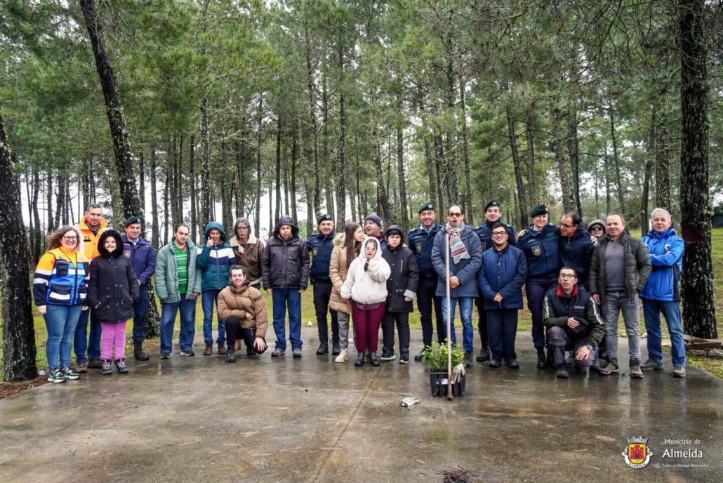 DIA MUNDIAL DA ÁRVORE