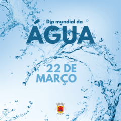 Dia Mundial Da Água