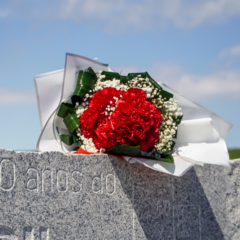Comemorações 25 de ABRIL 2025