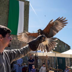 Feira Medieval de Castelo Mendo 2025 - 27 abril