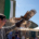 Feira Medieval de Castelo Mendo 2025 - 27 abril