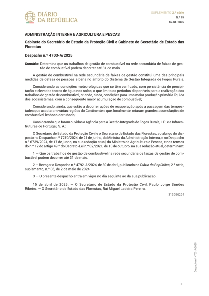 Despacho N.º 4703 A 2025 Page 0001