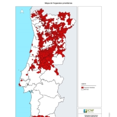 Colaboração - Comunicação Portugal Chama 2025