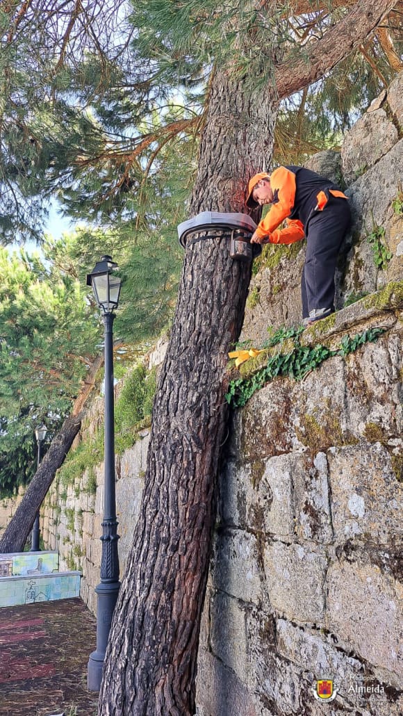 Colocação de Armadilhas