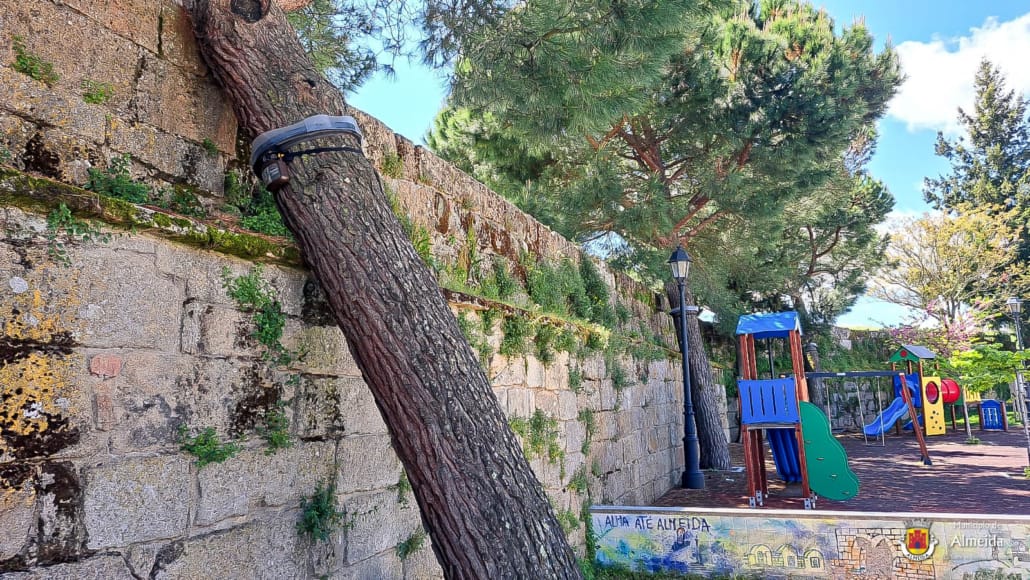 Colocação de Armadilhas